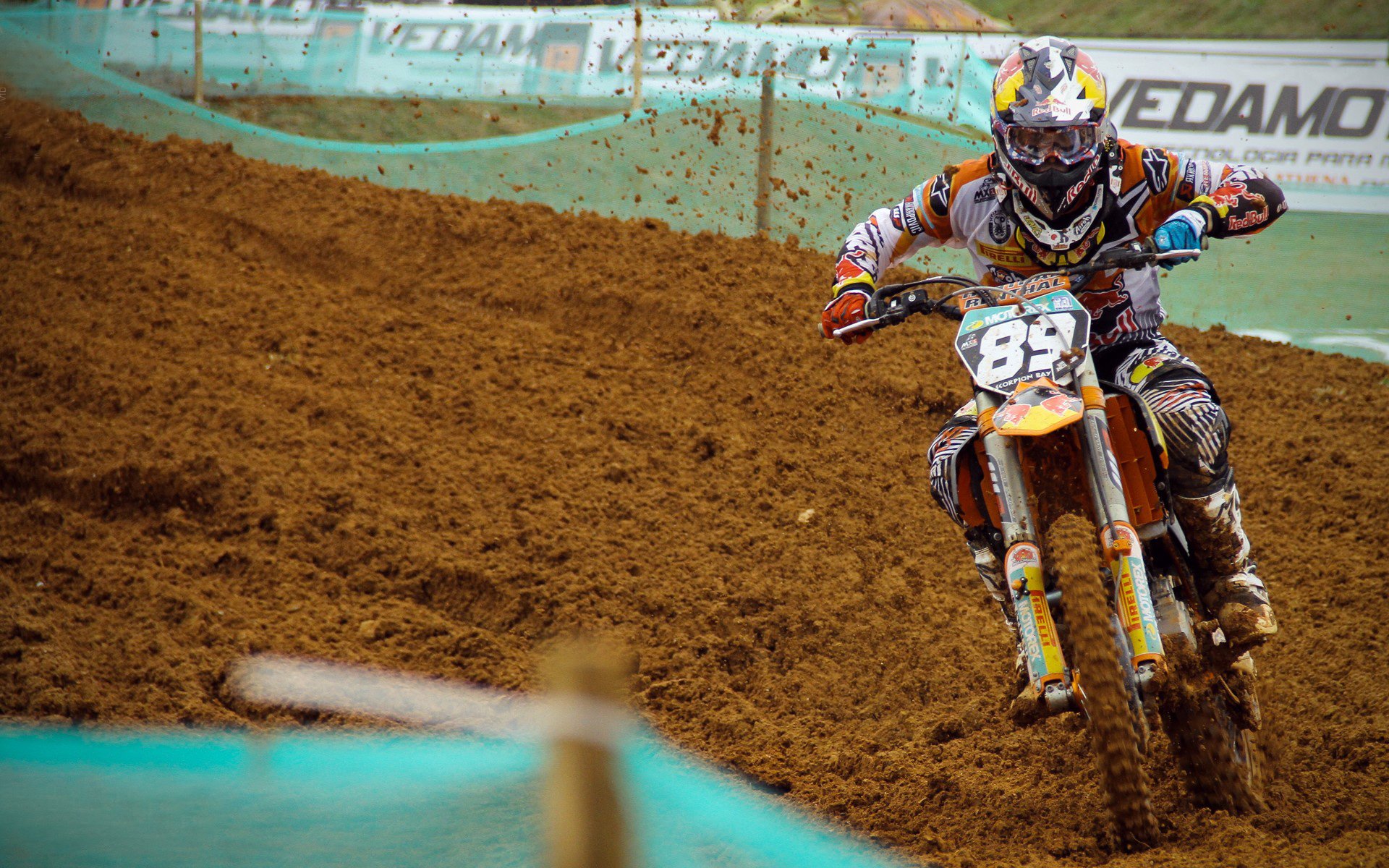 混合泳德国双将同时晋级,混合泳冠军