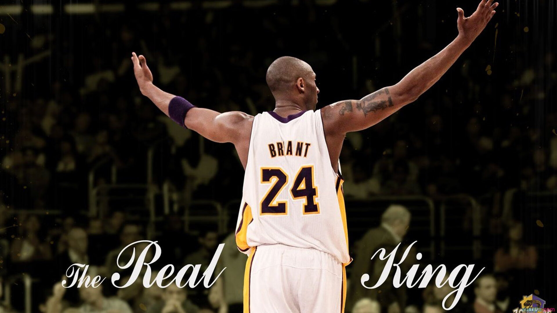 爱游戏中国-星际争霸2“未来星战”巅峰对决盛大开启，星际争霸2最新比赛